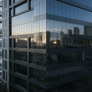 folie geamuri birouri