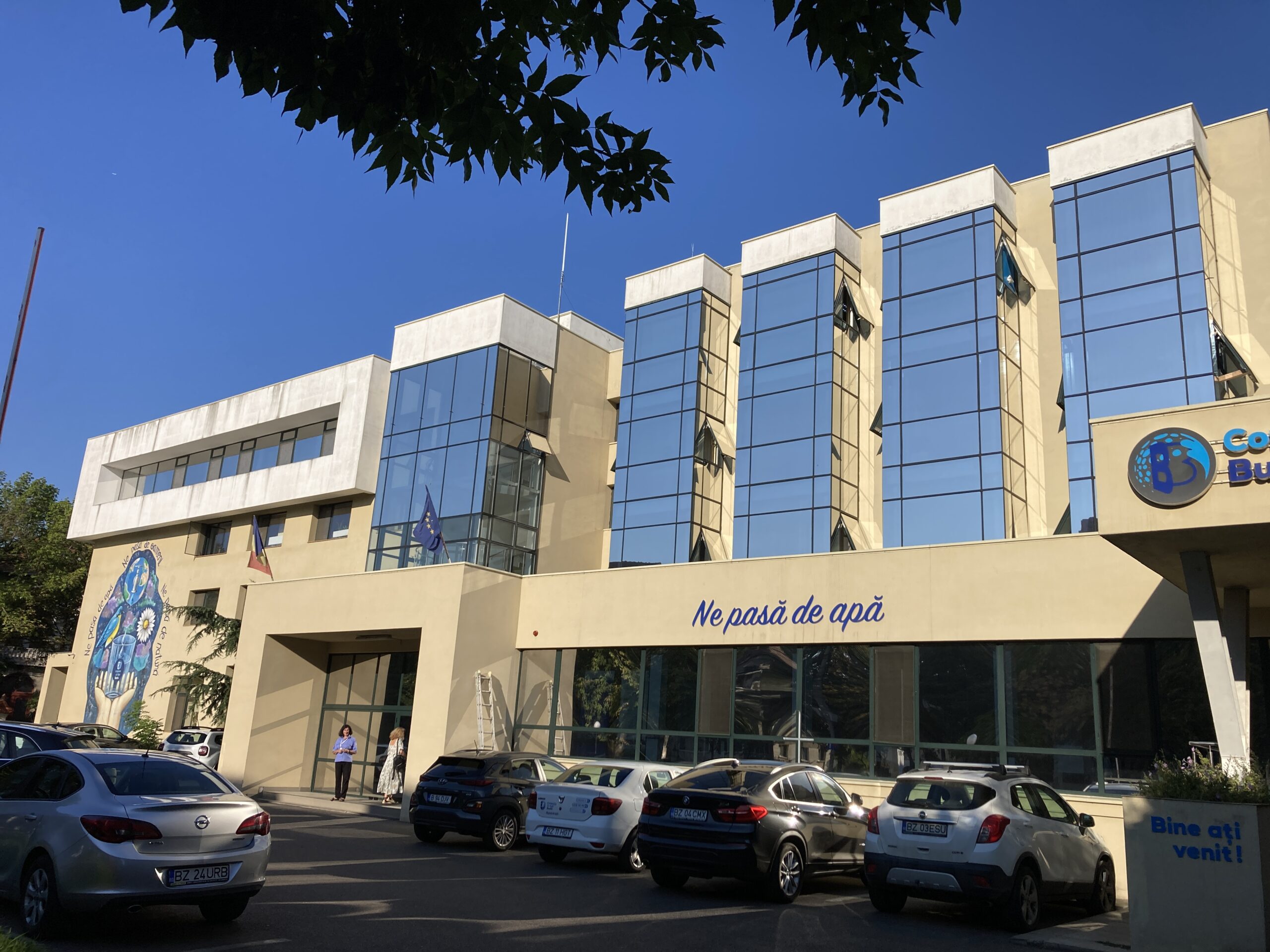 folie geamuri buzau